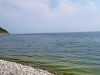 Jezero ma na površju tud nekaj alg.
