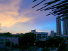 Bangkok sunset.