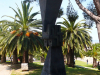 p1150865