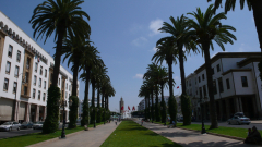 Center mesta