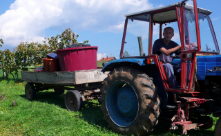 Traktor